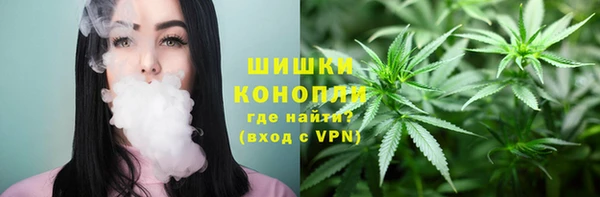 дурь Магас