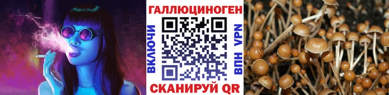 Галлюциногенные грибы прущие грибы  цены наркотик  Ковров 